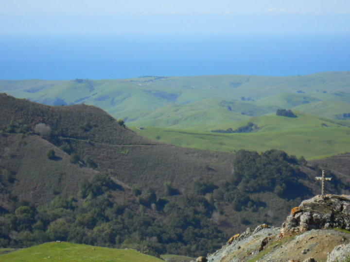 This is from even higher up the ridge, a favorite spot of Aubray's and mine. This is about where the gravel Cypress Mountain Road tops the ridge heading west from the now abandoned mining towns of Klau and Adelaida. We found it in 2000 on one of our many spontaneous explorations of the local backroads, at a time when the marine layer of fog covered all the ocean and most of the immediate coastal area that we could see and we were in the bright sun high above the clouds, as though we were in heaven. There was a For Sale sign from a local real estate company not far from this spot, selling a significant acreage. I called when we got home; the asking price was $750,000. We were about $749,250 short as I recall. That anecdote almost made it into Birding, but I couldn't find a place for it.